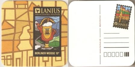 Lanius-24