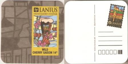 Lanius-34