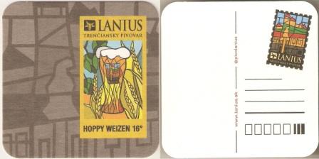 Lanius-36
